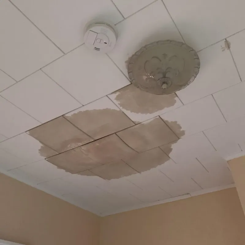 Ceiling Water Damage Repair in Kingston, MO
