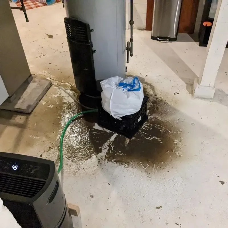 Sewage Backup Cleanup Service in Kingston, MO